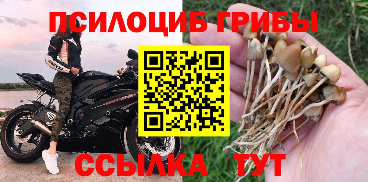 Светлоград  Галлюциногенные грибы Cubensis  Вход с VPN  купить закладку  Галлюциногенные грибы Cubensis 